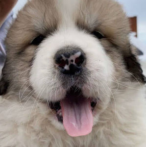 Meet your Posher, Ruey